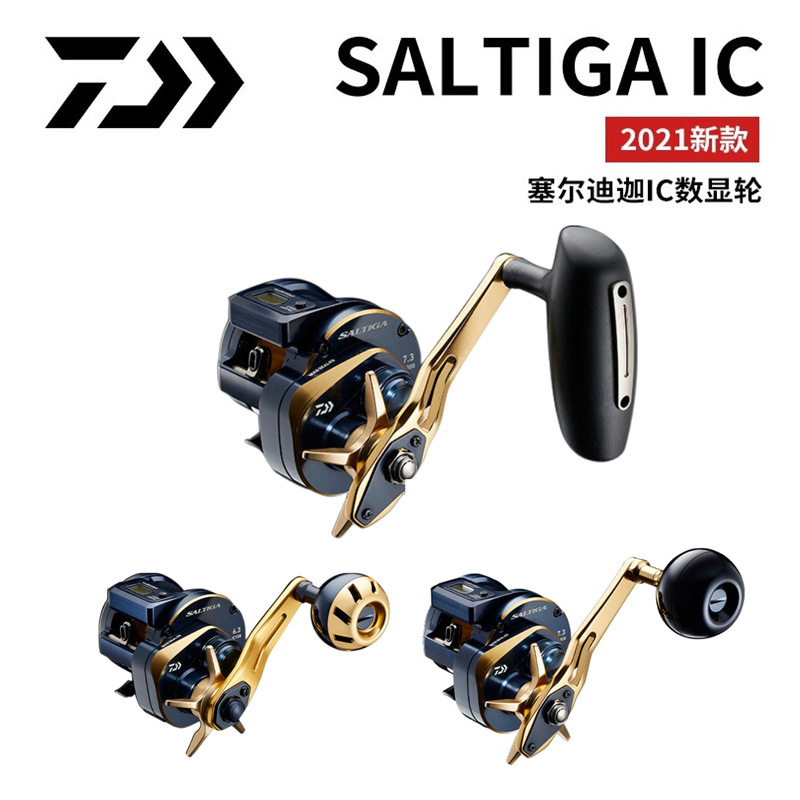 21 Japanese DAIWA Daiwa SALTIG - огляд і ціна Electric Reel